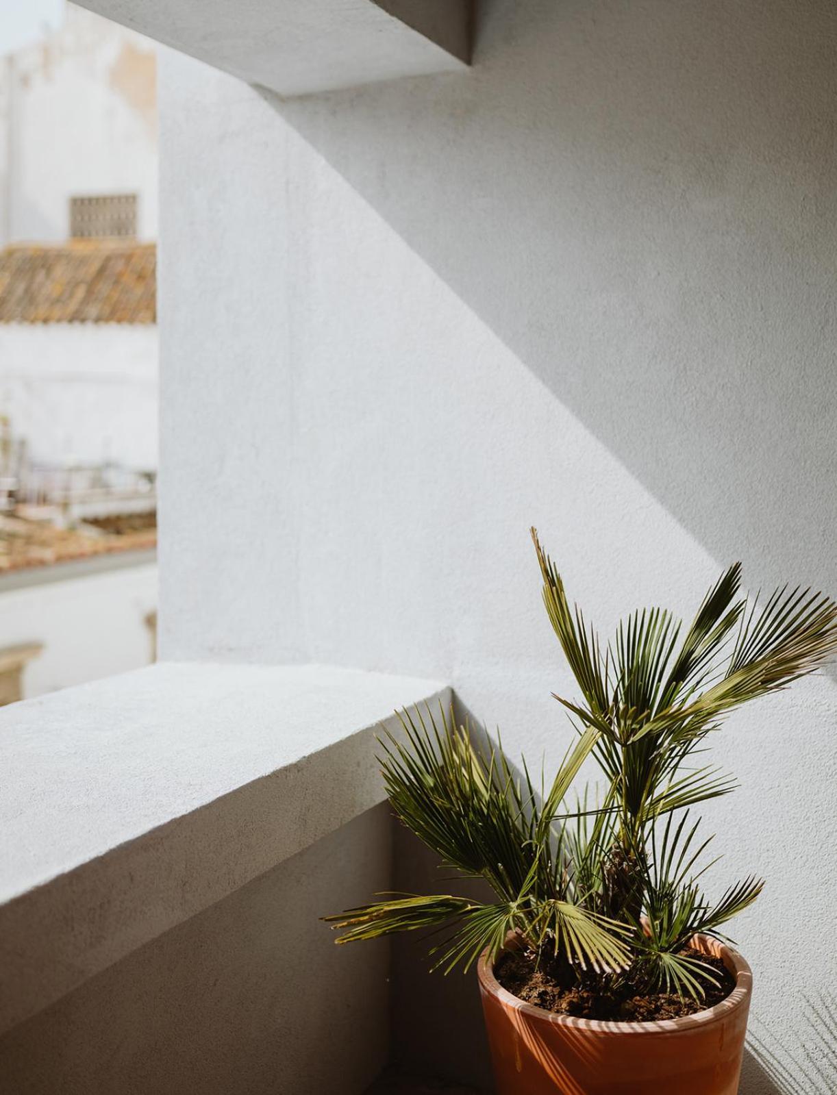 The Modernist, Architecture Experience Apartment FAO Exterior photo